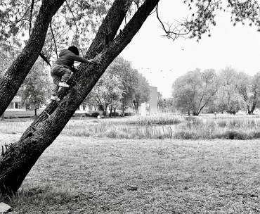 ребёнок взбирается на дерево